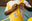 zoom sur la salopette Shiny Perpète, en coton bio, coloris jaune, portée par Luckas en train de fermer la bretelle